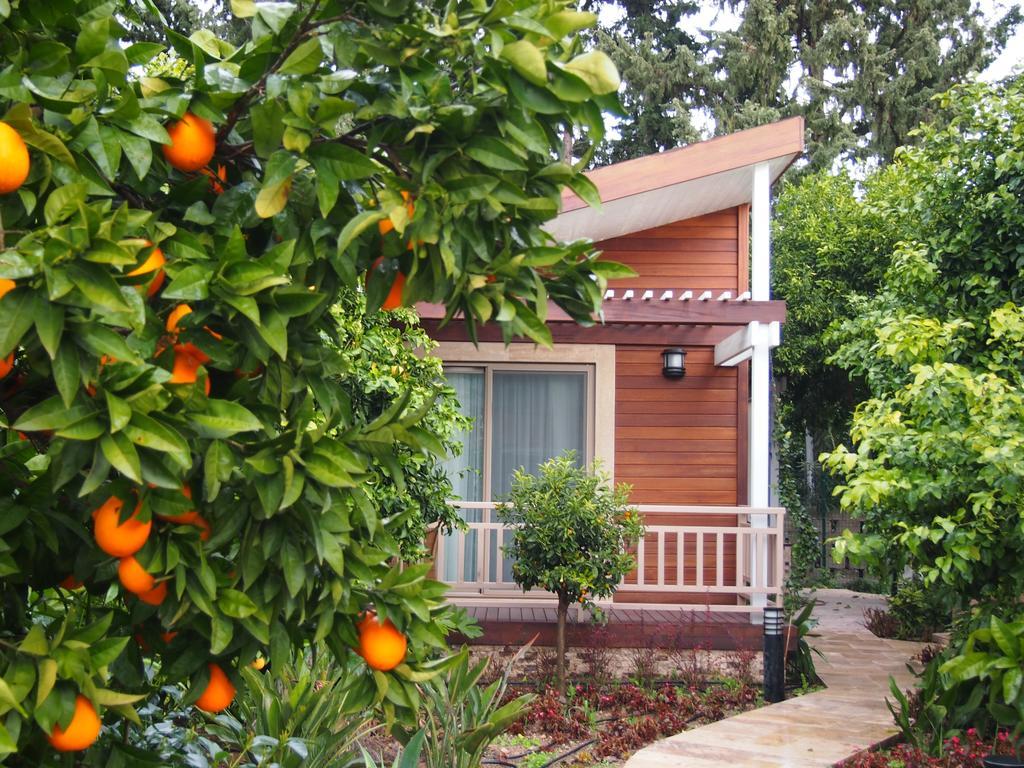 Kimera Lounge Boutique Hotel & Spa Çıralı Buitenkant foto