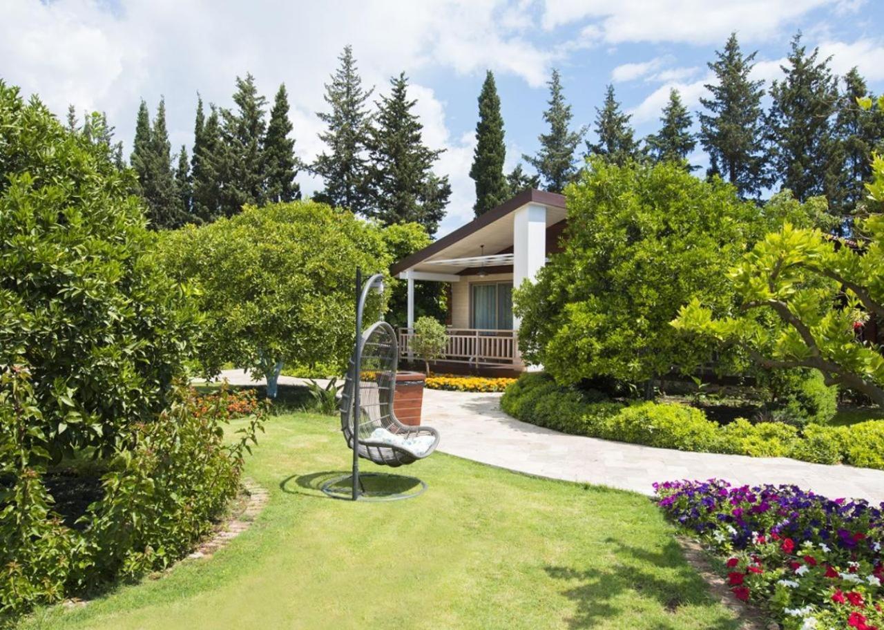 Kimera Lounge Boutique Hotel & Spa Çıralı Buitenkant foto